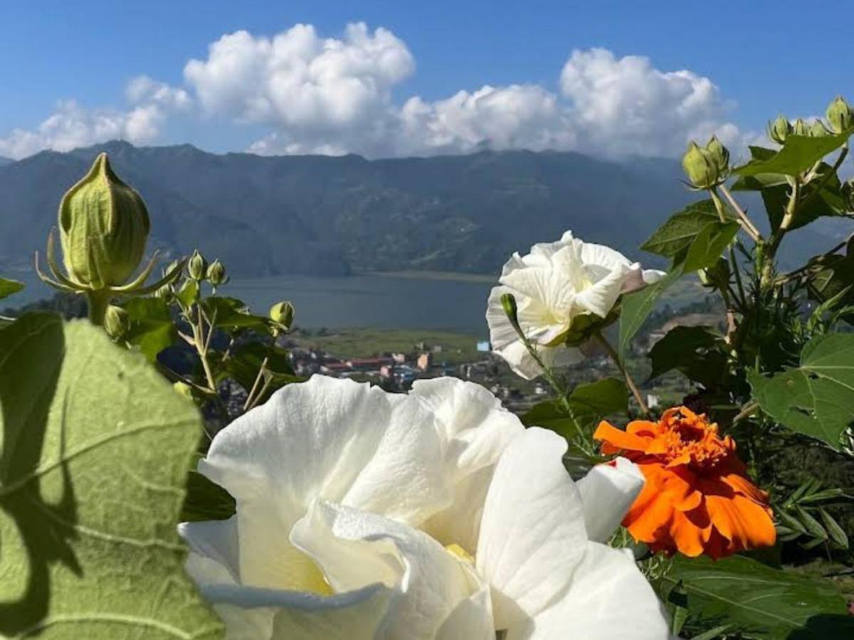 Into The Wild Pokhara Villa Kaski Exterior photo